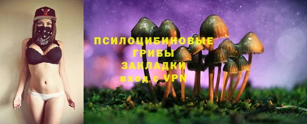 ECSTASY Баксан