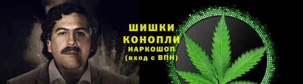 крисы Покров