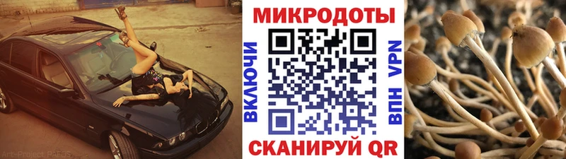 Галлюциногенные грибы Psilocybine cubensis  где можно купить   Невельск 