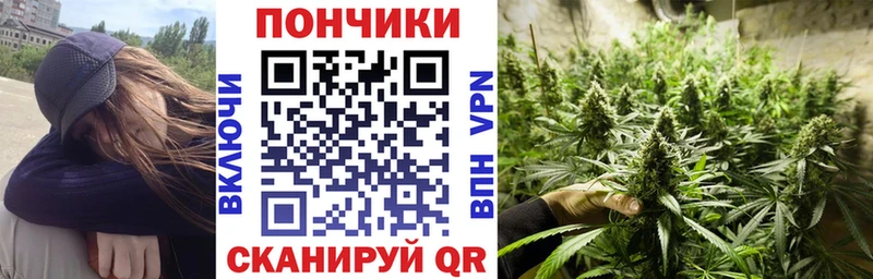 Бошки марихуана Amnesia  закладка  Невельск 